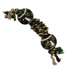 Local boy Dog Toy